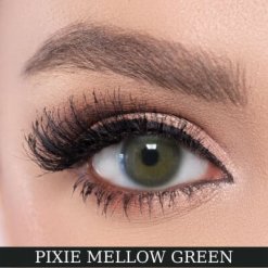 El Amore Renkli Numarali Amore Series 6 Aylık 14 PIXIE MELLOW