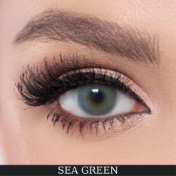 El Amore Renkli Numarali Amore Series 6 Aylık 20 SEA GREEN