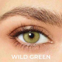 Desio Attitude Quarterly 2 Tone Numaralı 6 wild green