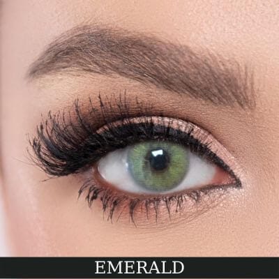 El Amore Renkli Numarali Amore Series 6 Aylık